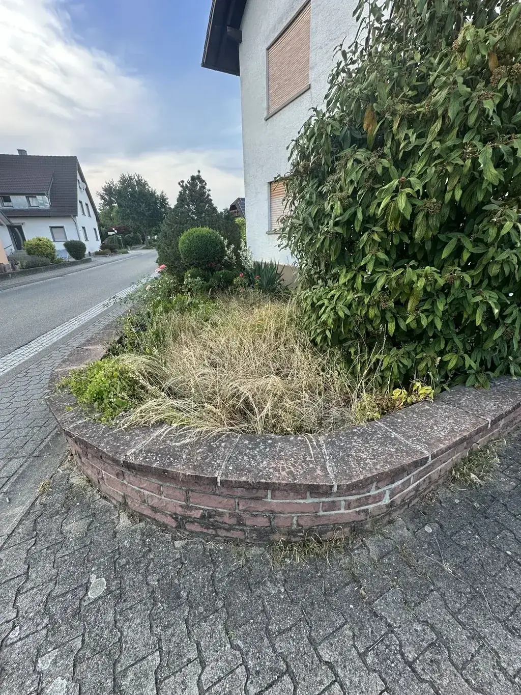 Ungepflegter Vorgartenrand vor dem Gartenpflege-Einsatz